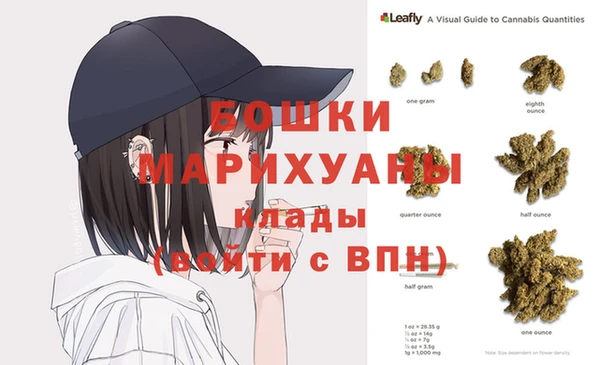 шишки Володарск