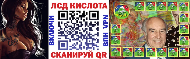 как найти   Назарово  блэк спрут tor  shop официальный сайт  Наркотические марки 1500мкг 